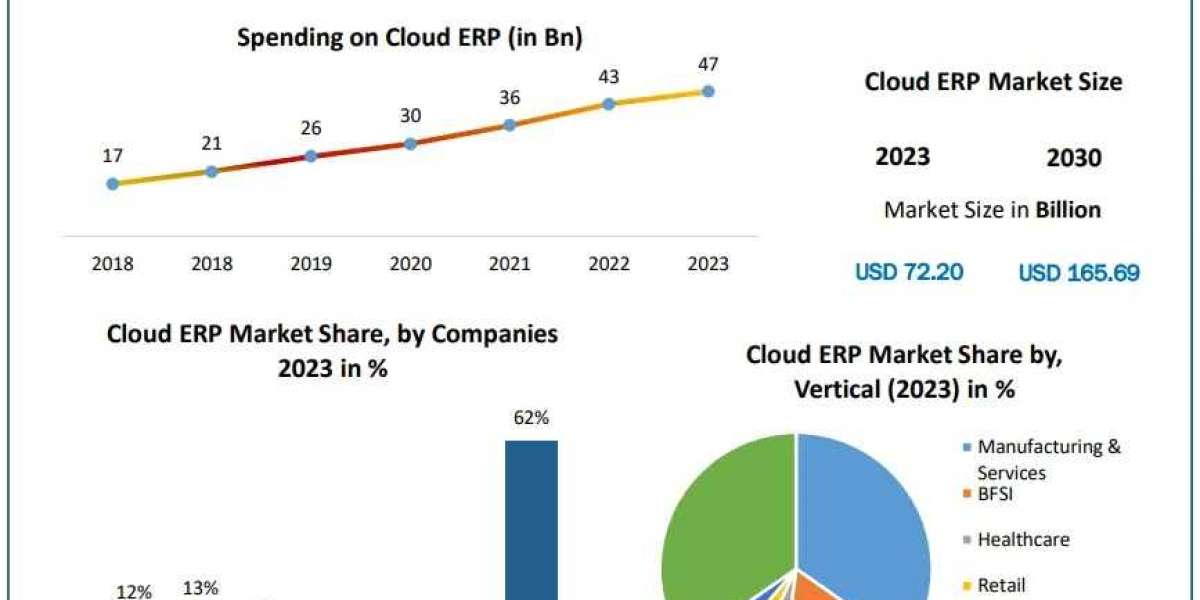 Cloud ERP Market 2024-2030: Revolutionizing Business Operations with Cloud Solutions