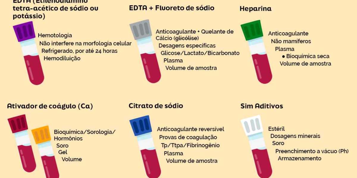 Horário Certa para o Exame de Fosfatase Alcalina: Cuidados Essenciais para Seu Pet