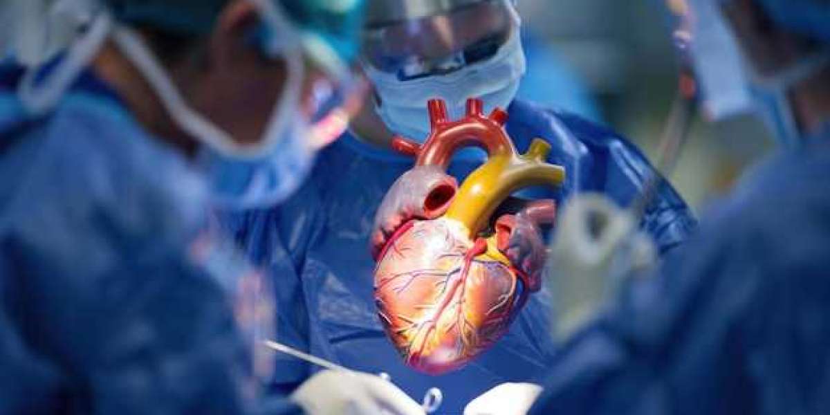 Left Atrial Appendage Closure (LAAC) in Cardiology: Advancing Heart Health and Patient Safety