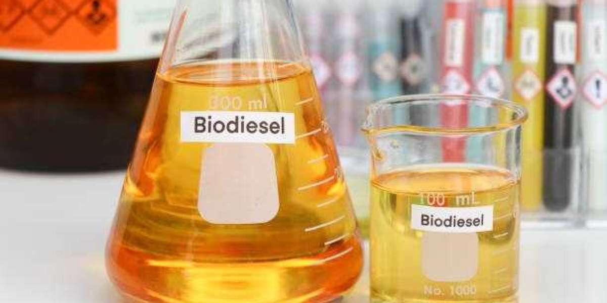 Biodiesel Manufacturing Plant Project Report: Unit Operations, Raw Material and Utility Requirements