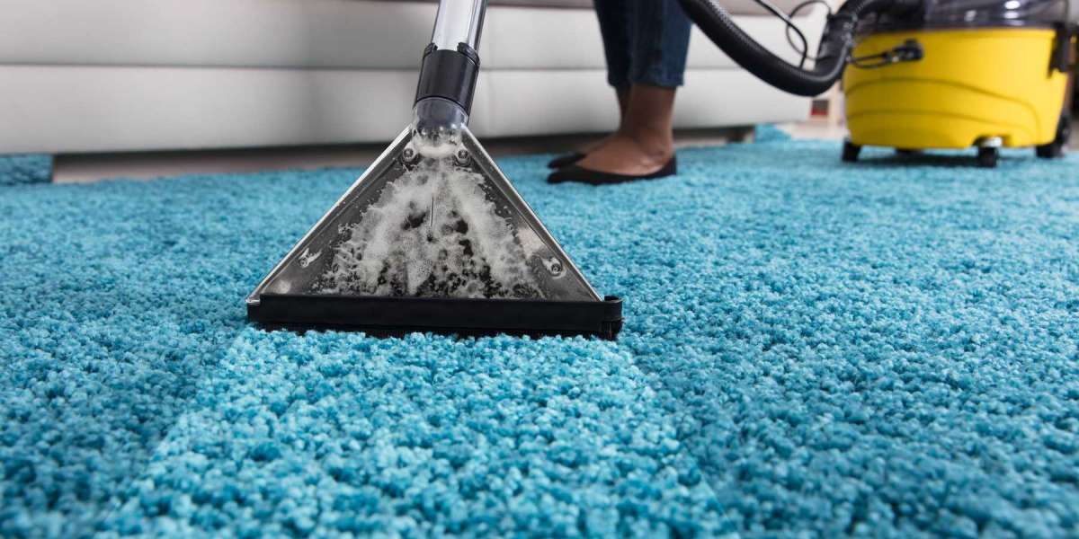 Professional Carpet Cleaning: Key to Allergen-Free Living Spaces