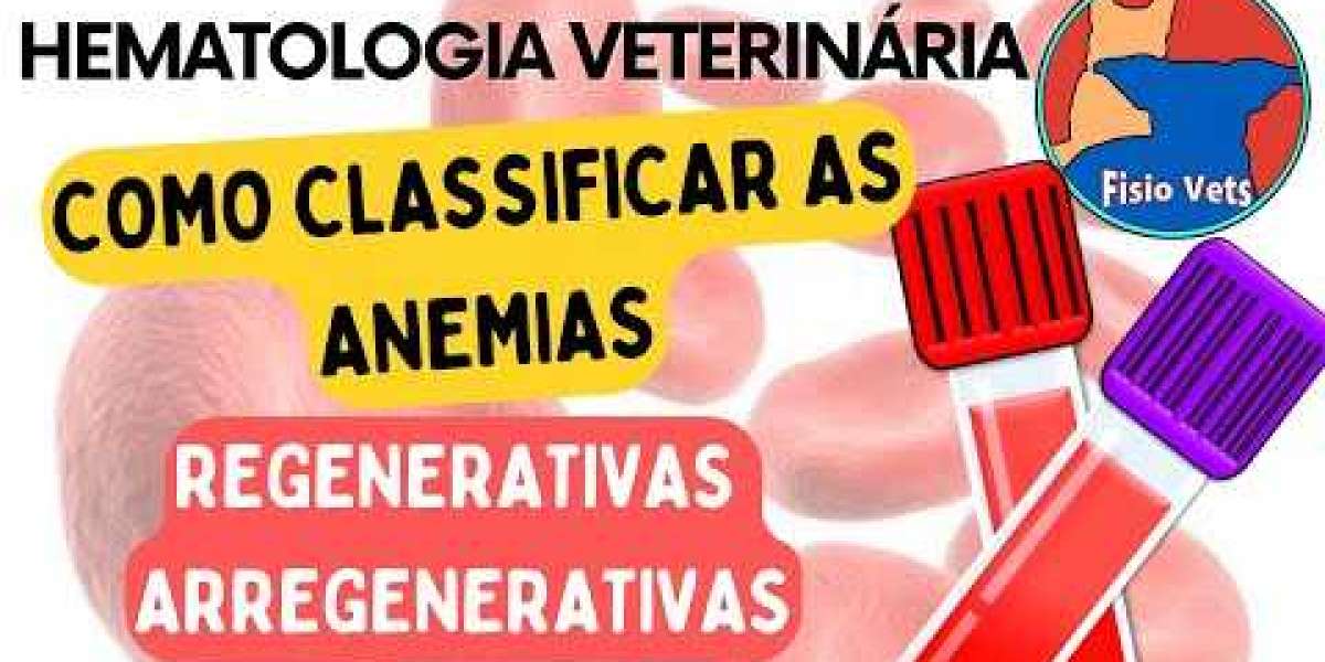 PRÉ 3 Veterinário: A Chave para Identificar Doenças Ocultas em Seu Pet