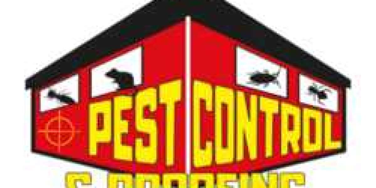 Comprehensive Pest Control Services: Your Solution in Belfast and Coleraine