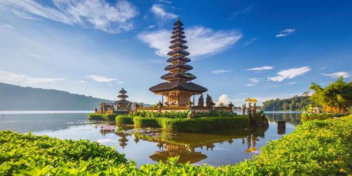 Explore the Best of Bali with Viz Travels: Exclusive Bali Tour Packages from Kerala