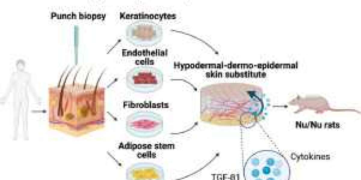 Biological Skin Substitutes Market Rising in Demands and Growth Insights till Forecast 2022to 2031