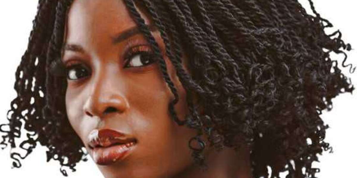 Protective and Chic: Wig Braids for a Flawless Look