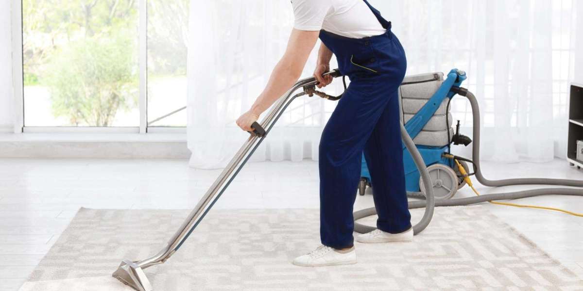 Why Professional Carpet Cleaning Services Are Critical for Carpet Care