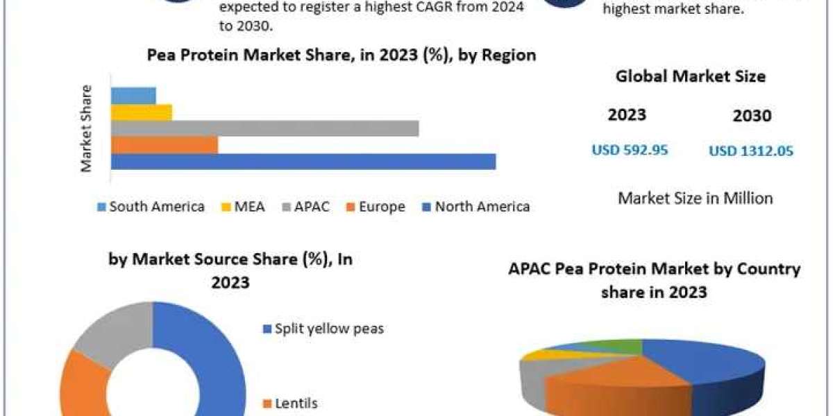 Pea Protein Market: Regional Insights and Global Demand Forecast 2030