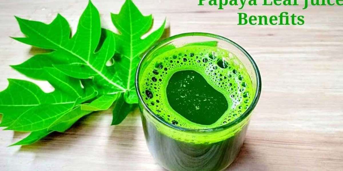 Why Papaya Leaves Are a Must for Your Health Routine?