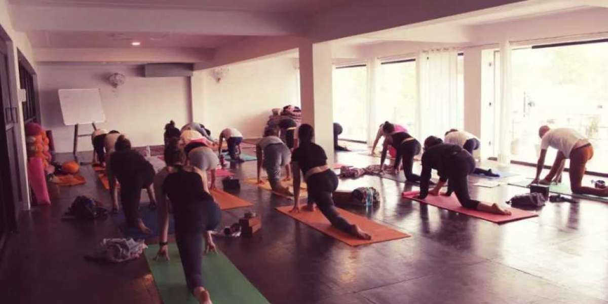 Best 100 hours yoga teacher training in India