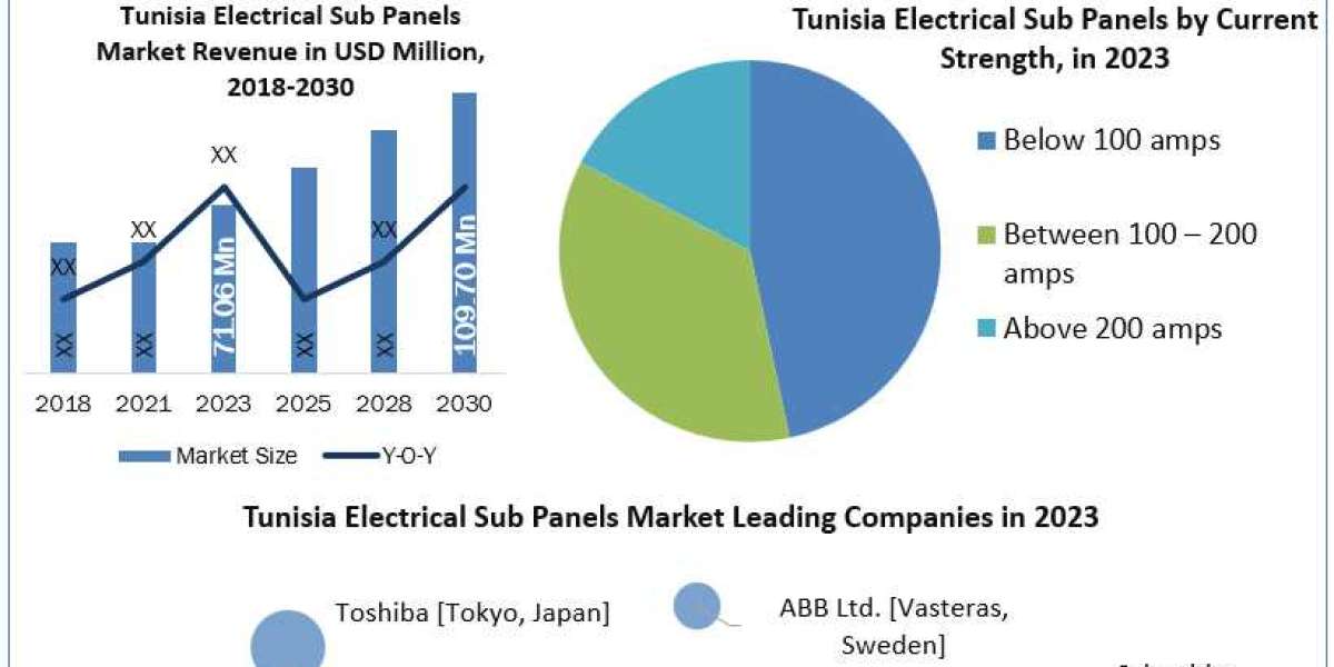 Tunisia Electrical Sub Panels Market Share, Growth, Industry Analysis, Key Insights, Segments And Forecast  2030