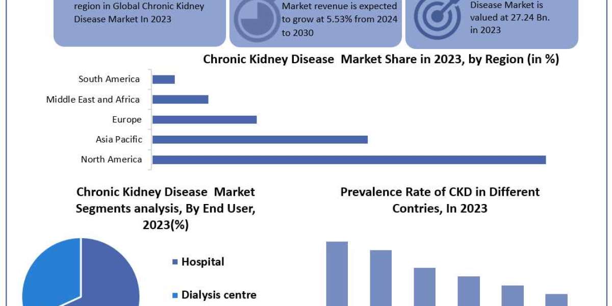 Chronic Kidney Disease Market 	Metrics Matrix: Segmentation, Outlook, and Overview in Market Dynamics | 2024-2030