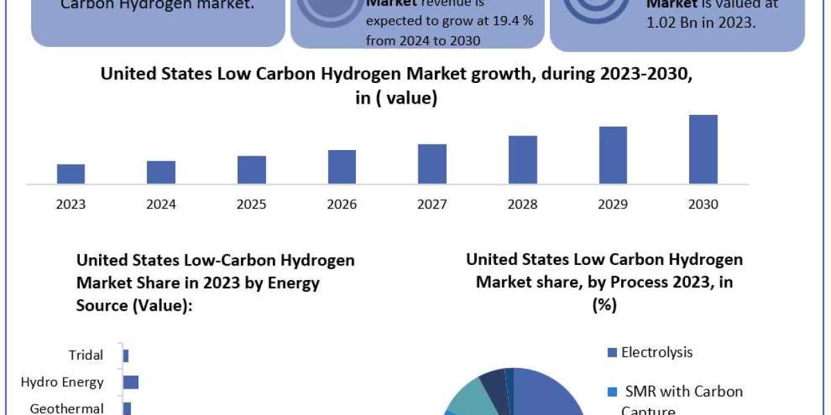 United States Low-Carbon Hydrogen Market Trend, Sales Revenue, Size by Regional Forecast to  2030