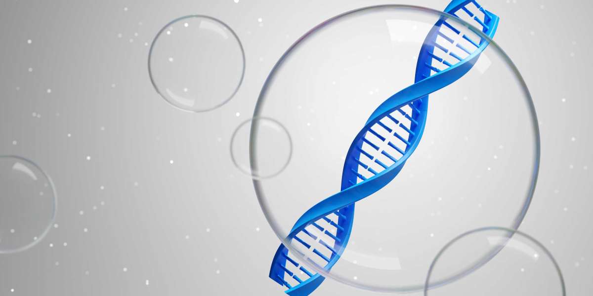 best phase to study shape of chromosome