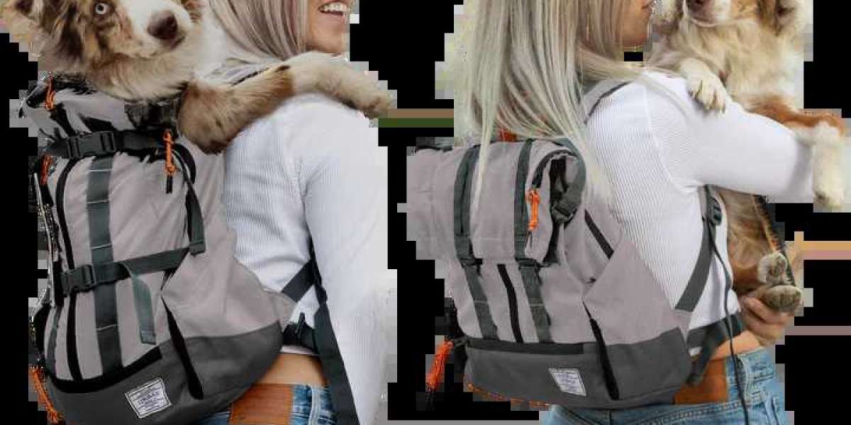 Pet carrier backpack