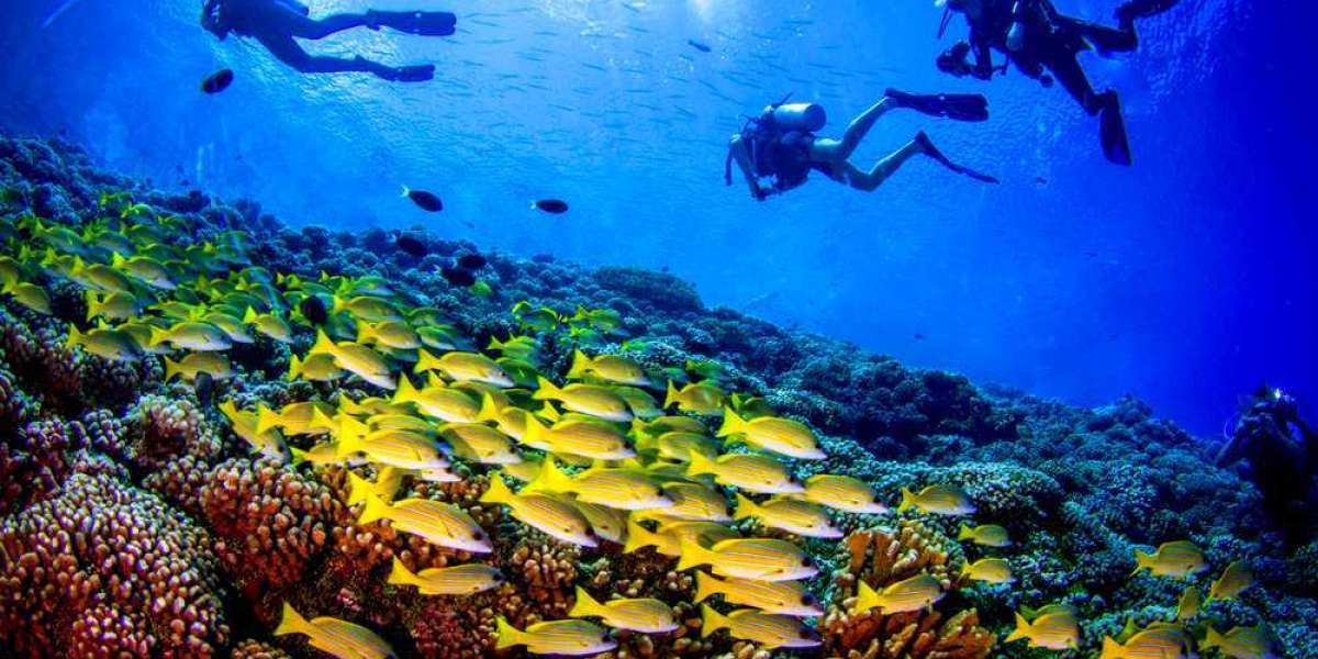 Planning Your Unforgettable Scuba Diving Adventure in Murudeshwar?