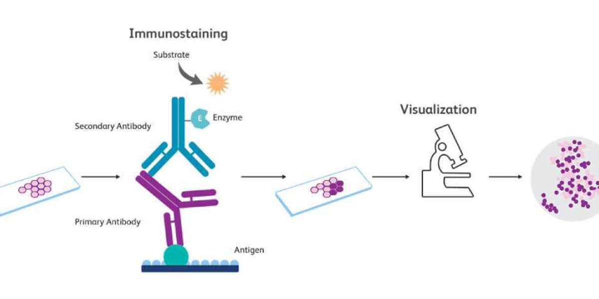 Immunohistochemistry Market Report by Type, and Global Opportunity Analysis and Industry Forecast, 2024-2034