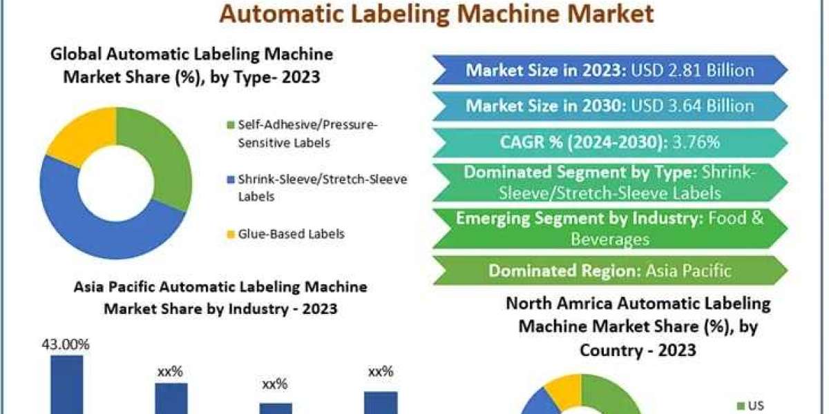 Regional Insights into the Automatic Labeling Machine Market: Opportunities and Growth