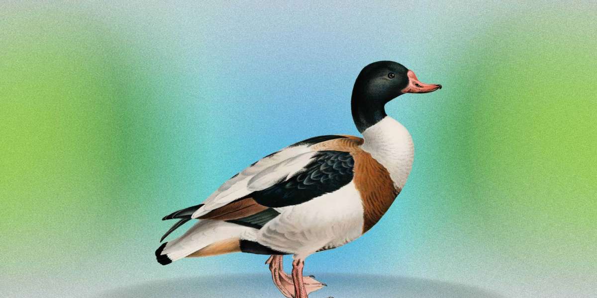 Quack Up: The Best Duck Puns That Will Have You Rolling