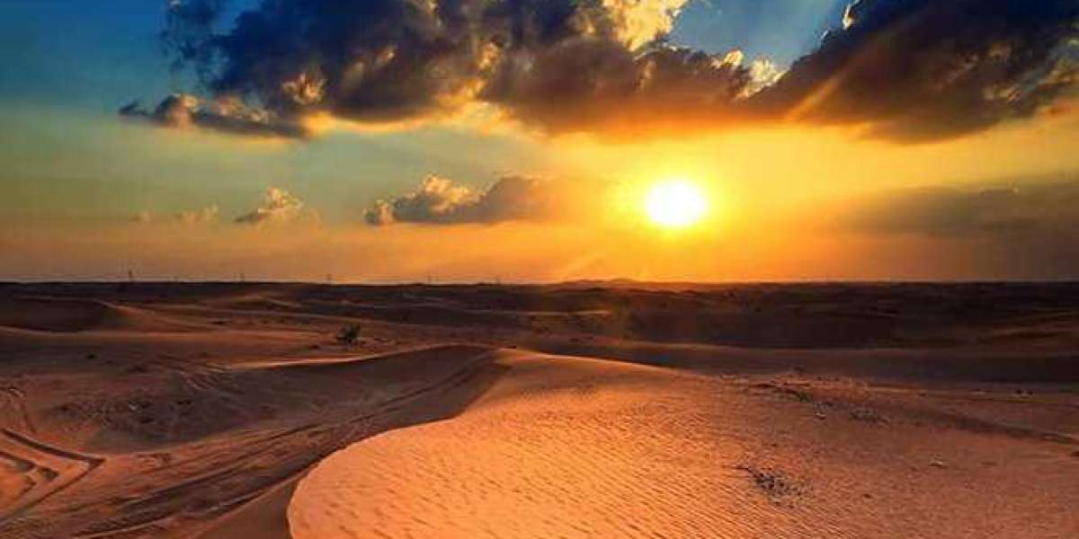 Capture the Perfect Sunset: Evening Desert Safari Highlights