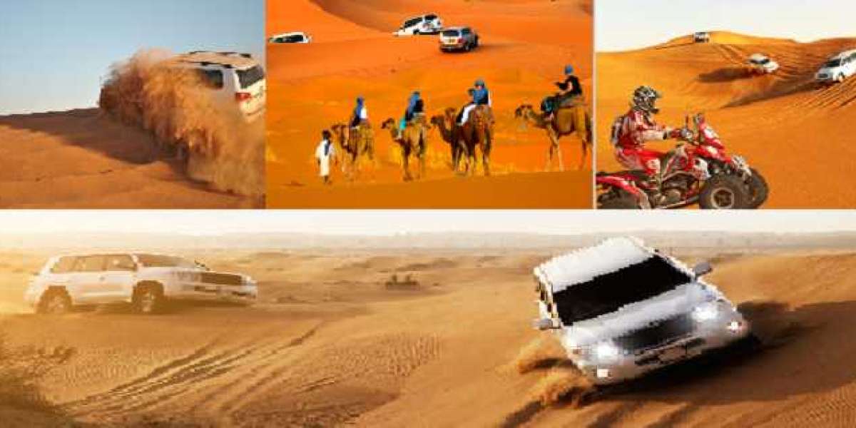 Abu Dhabi City Tour: Half-Day Marvels for Every Tourist