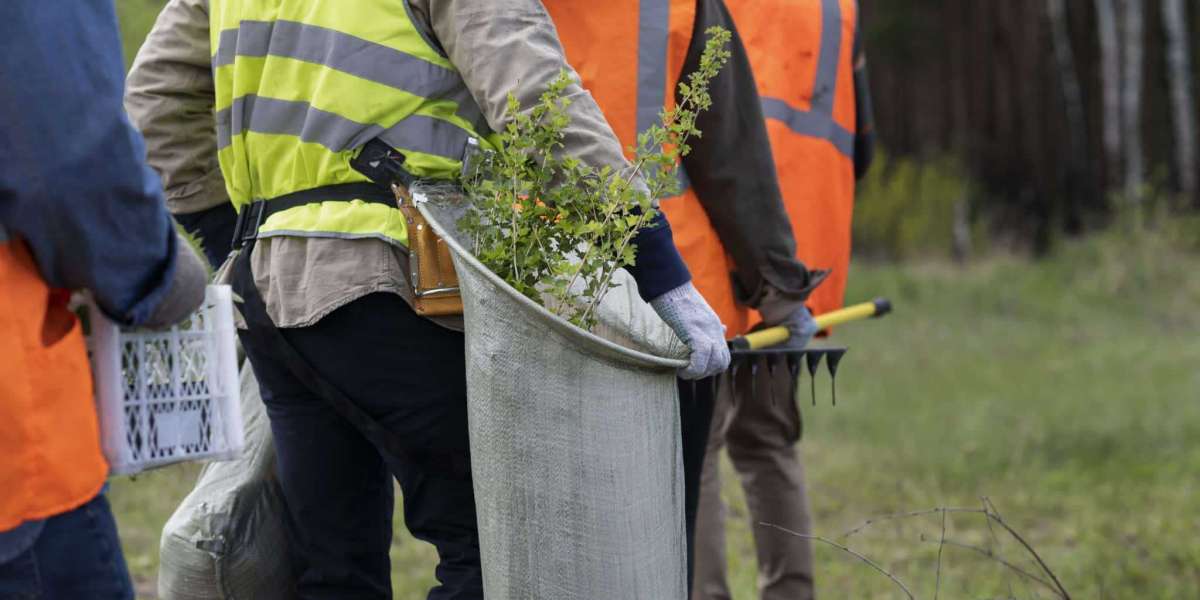 Affordable Rates, Unbeatable Tree Services in Houston!