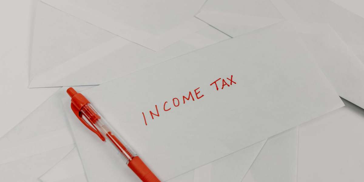 Why You Need an Income Tax Return Consultant in Delhi