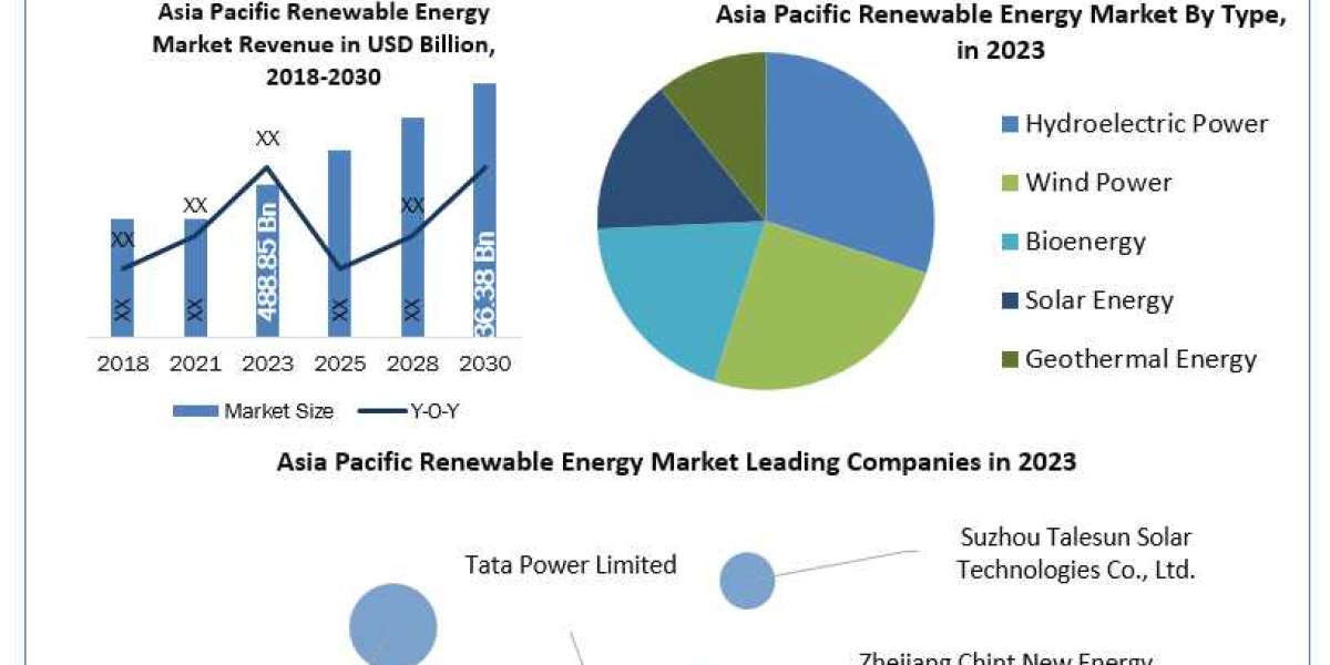 Asia Pacific Renewable Energy Market Metrics Unleashed: Segmentation, Outlook, and Overview Trends  2030