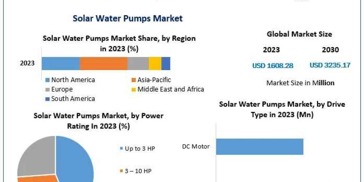 Solar Water Pumps Market Insights: Innovations in Energy Efficiency and Sustainability 2024-2030