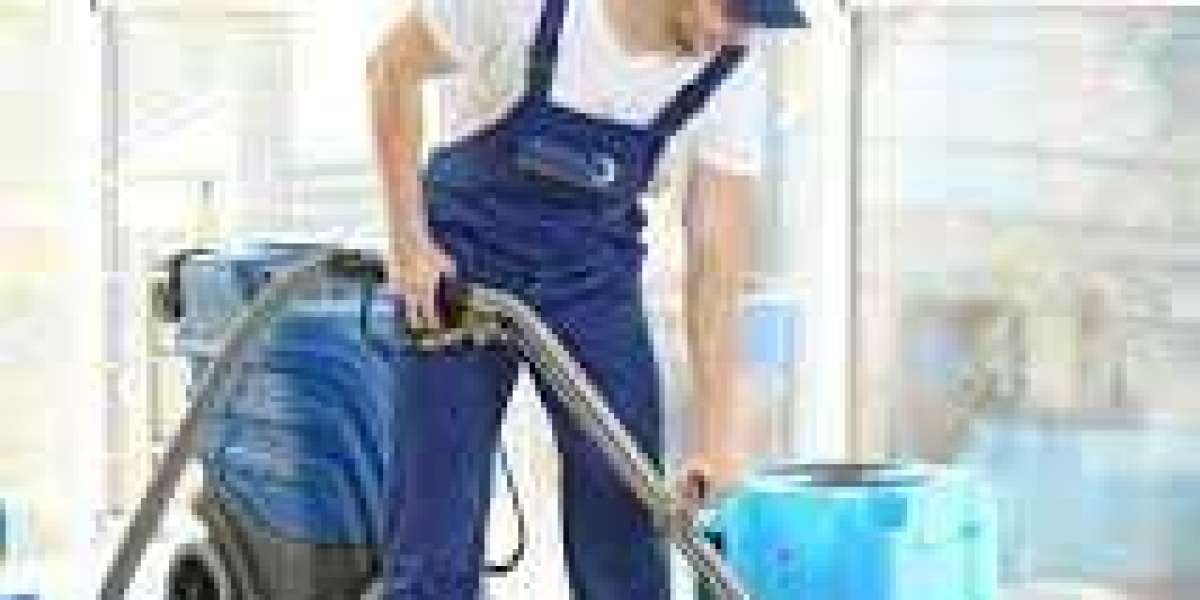 Why Regular Carpet Cleaning Is a Must for Home Wellness