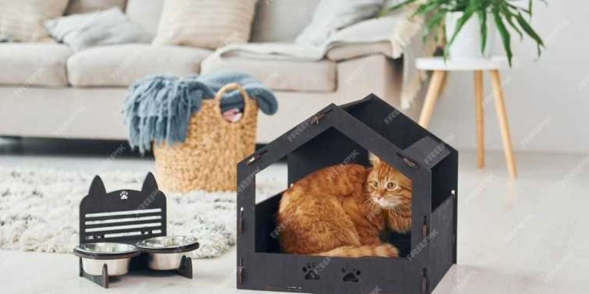 The Ultimate Guide to Choosing the Best Cat House and Modern Cat Bed for Your Feline