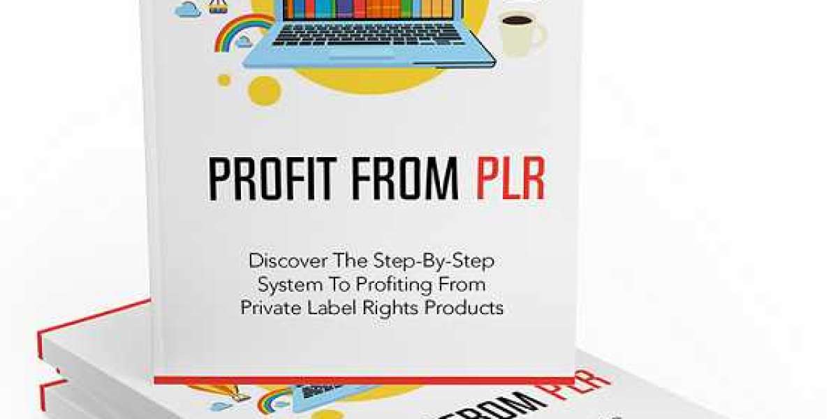 Unlocking Wealth with Digital Assets and PLR Products