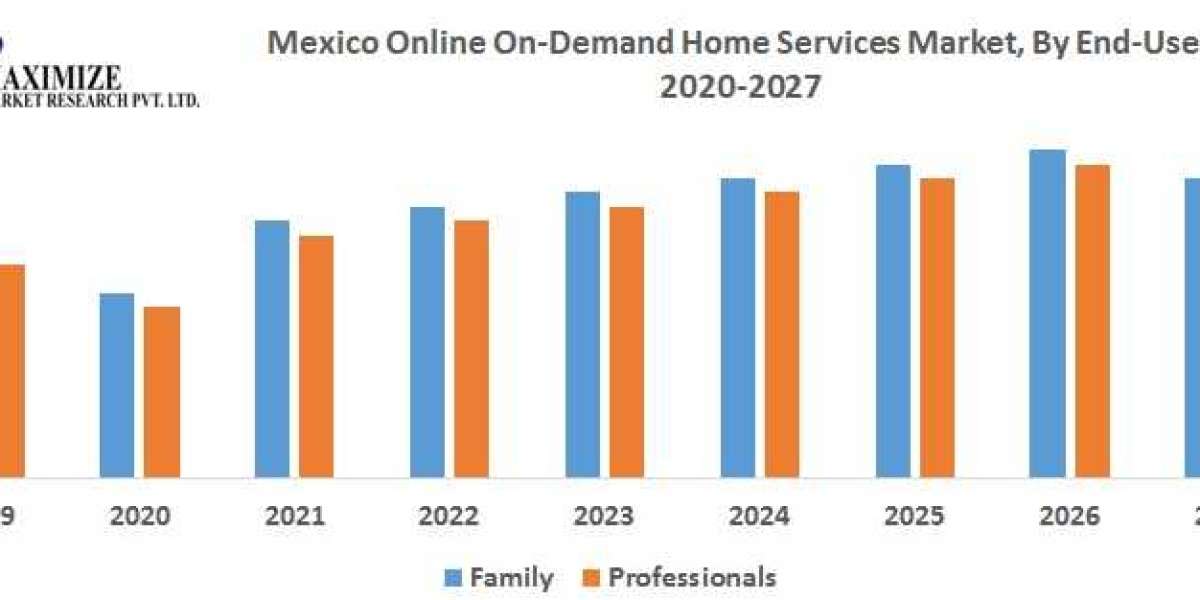 Mexico Online On-demand Home Services Market: Trends and Growth Forecast 2025-2030