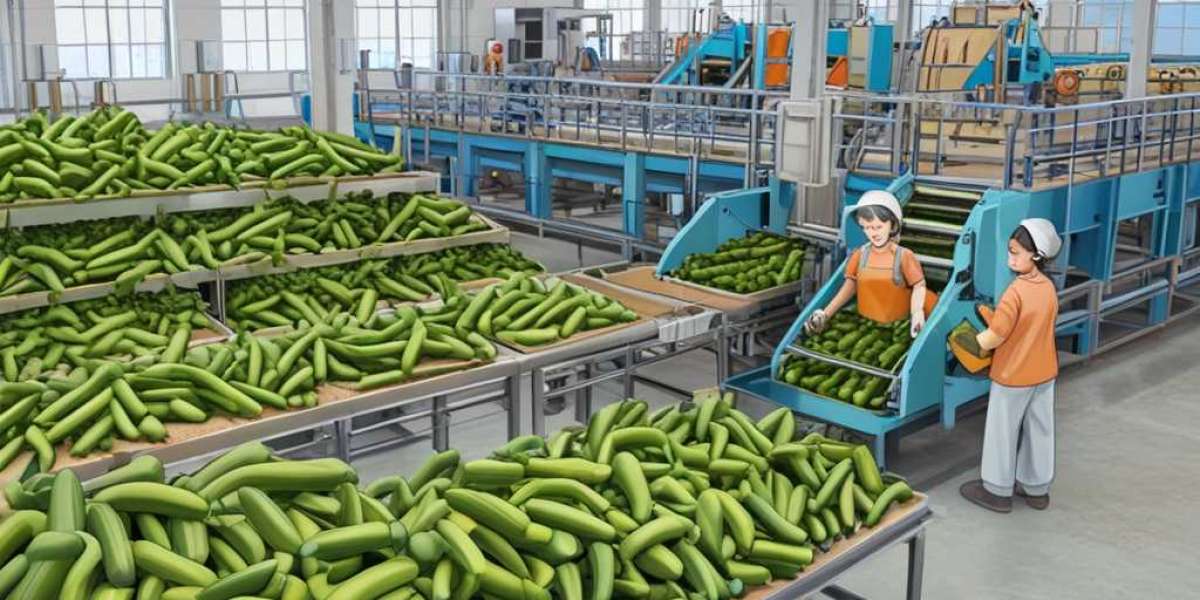 Zucchini Processing Plant Setup: Detailed Project Report 2025 by IMARC Group