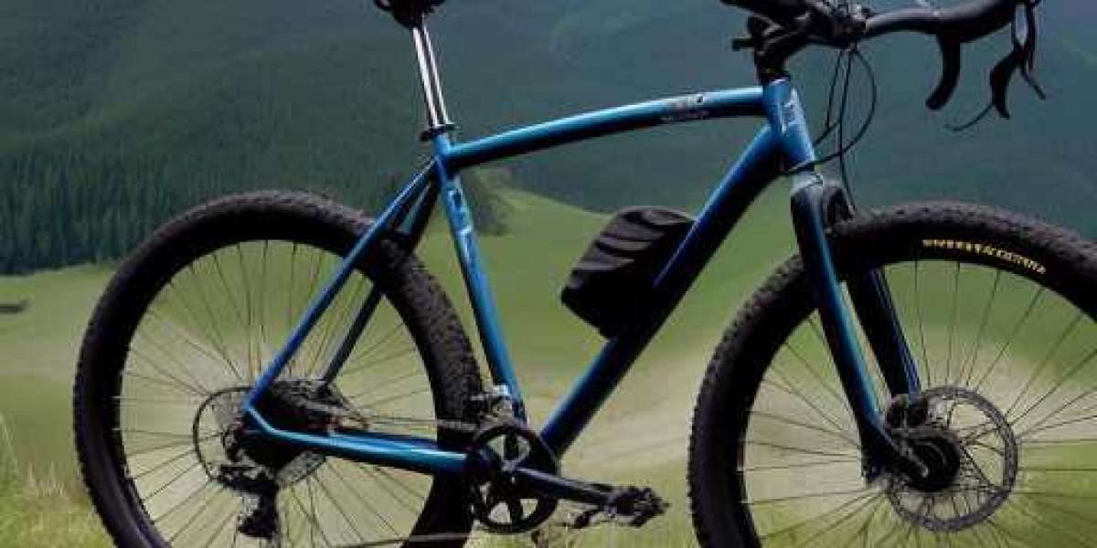 Professional mountain bike