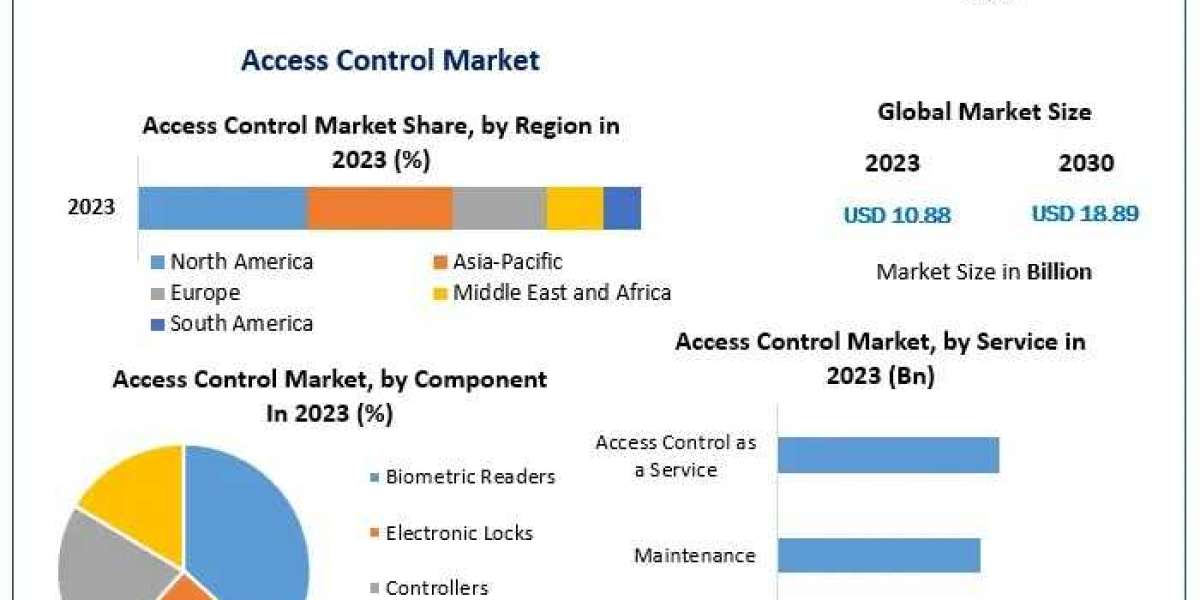 Access Control Market: Trends and Growth Forecast 2025-2030