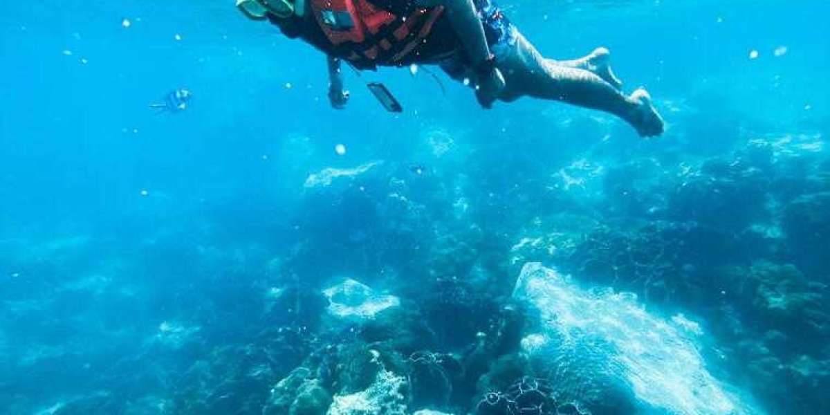 What is the Best Season for Scuba Diving in Murudeshwar?